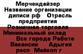 Мерчендайзер › Название организации ­ диписи.рф › Отрасль предприятия ­ Розничная торговля › Минимальный оклад ­ 25 000 - Все города Работа » Вакансии   . Адыгея респ.,Майкоп г.